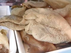 酱羊肚-白魁老号饭庄(交道口店)