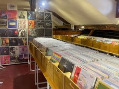 -树懒黑胶唱片店(中山路店)