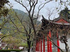 -华清宫景区