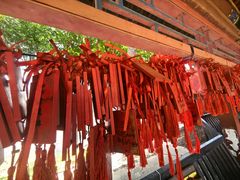-皇家御河游(紫御湾码头)