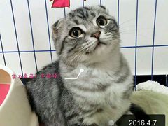 -美玲拉面(鞍山西道店)