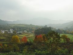 -塔川景区