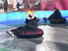 -沈阳奥体冰雪嘉年华