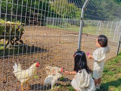 -北京山里寒舍度假酒店