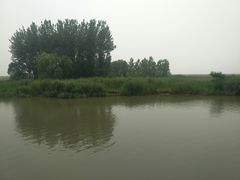 -微山湖红荷湿地景区