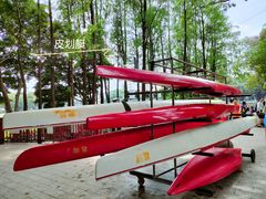 -荔湾湖公园