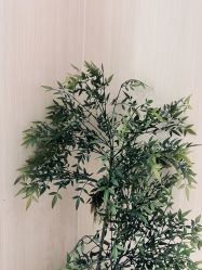 -杨益美学·野生眉半永久纹眉发际线