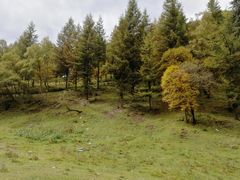 -互助北山国家地质公园漂流