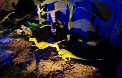 -恐龙探索乐园(磁器口店)