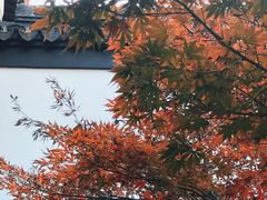 -南京民俗博物馆(甘熙故居)