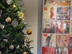 -树懒黑胶唱片店(中山路店)