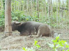 -茅山东方盐湖城景区