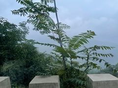 -妙峰山风景名胜区
