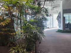 -大视光学•LINDBERG林德伯格•全球手工眼镜集合店(王府井店)