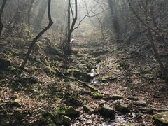 -西安祥峪森林公园