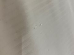 -厦门威斯汀酒店