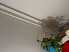 -桃花堤公园