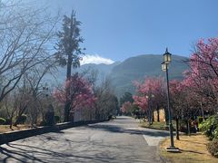 -天龙八部武侠城