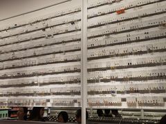 -KKV(南京新城市广场店)