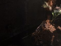 -泰之源足浴会所(玉环店)
