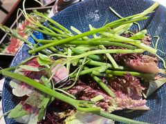 -芸山季·云南山珍菌火锅(人民广场来福士店)