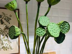 -植物学家的女儿(北马道巷店)