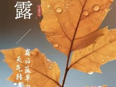 -西安市长乐公园