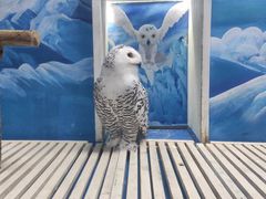 -成都浩海立方海洋公园