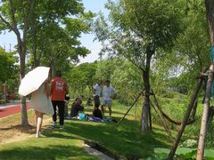 -上海长兴岛郊野公园