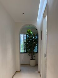 -WENDY·温迪皮肤管理