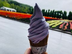 -富田农场