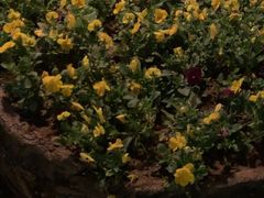 -瓦库茶馆17号(海汇港店)