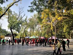 -莲湖公园