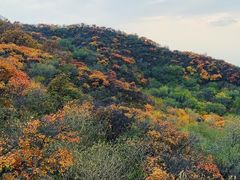 -北京西山国家森林公园