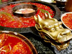 -蜀大侠火锅(建设路第五大道店)