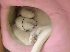 -金明姬和众烧烤店(东铁营店)