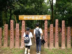 -南宁良凤江国家森林公园