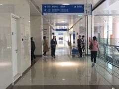 -首都医科大学附属北京天坛医院