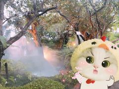 -Chom Cafe and Restaurant