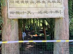 -武陵山森林公园