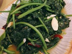 炝炒地瓜叶-山石榴·贵州菜(丰盛里店)
