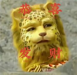 -明洞造型精品烫染