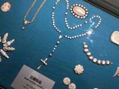 -青岛贝壳博物馆