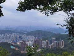 -梧桐山风景名胜区