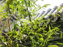 -至尚形象·化妆服饰搭配礼仪培训