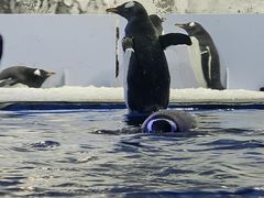 -鄂尔多斯野生动物园