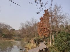 -西溪国家湿地公园