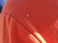 iphone_upload_pic-敦煌雅丹国家地质公园
