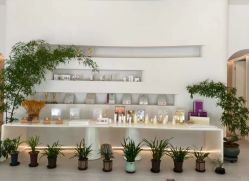 -紫琪尔·匠心连锁·胸部护理养护