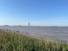 -吴淞炮台湾湿地森林公园烧烤区